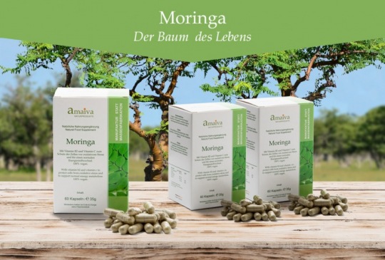 amaiva - Moringa - Der Baum des Lebens