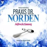 Patricia Vandenberg: Aufbruchstimmung: Praxis Dr. Norden 6