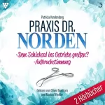Patricia Vandenberg: Dem Schicksal ins Getriebe greifen? / Aufbruchstimmung: Praxis Dr. Norden 5 - 6