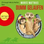 Moritz Matthies: Dumm gelaufen: Ray und Rufus 3