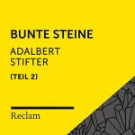 Adalbert Stifter: Stifter.Bunte Steine II: Reclam Hörbuch
