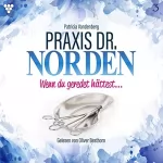 Patricia Vandenberg: Wenn du geredet hättest...: Praxis Dr. Norden 3