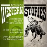 Bret Harte: Western Stories - Geschichten aus dem Wilden Westen 2: Geschichten aus dem Wilden Westen