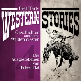 Bret Harte: Western Stories - Geschichten aus dem Wilden Westen 4: Geschichten aus dem Wilden Westen