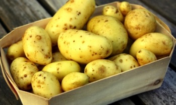 Kartoffelkörbchen | Essen & Trinken » Gemüse | SueSchi / pixelio
