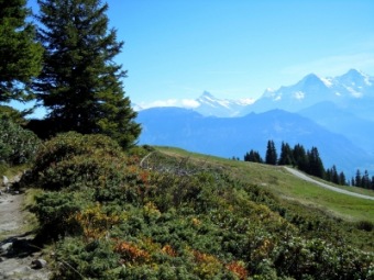 Wanderwege mit Aussicht | Europa » Schweiz | Kathrin Brechbühler / pixelio