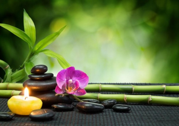 Die Ayurveda Massage für Gesundheit und Wohlbefinden
