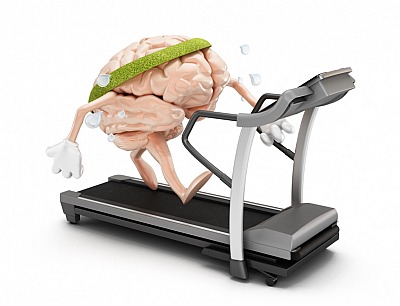 Mit regelmäßigen Übungen können wir unser Gehirn trainieren.
