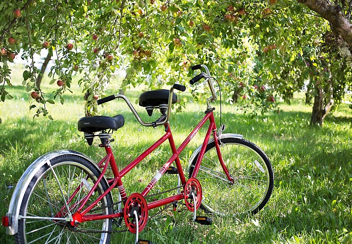 Fahrrad natur jill111/pixabay 23