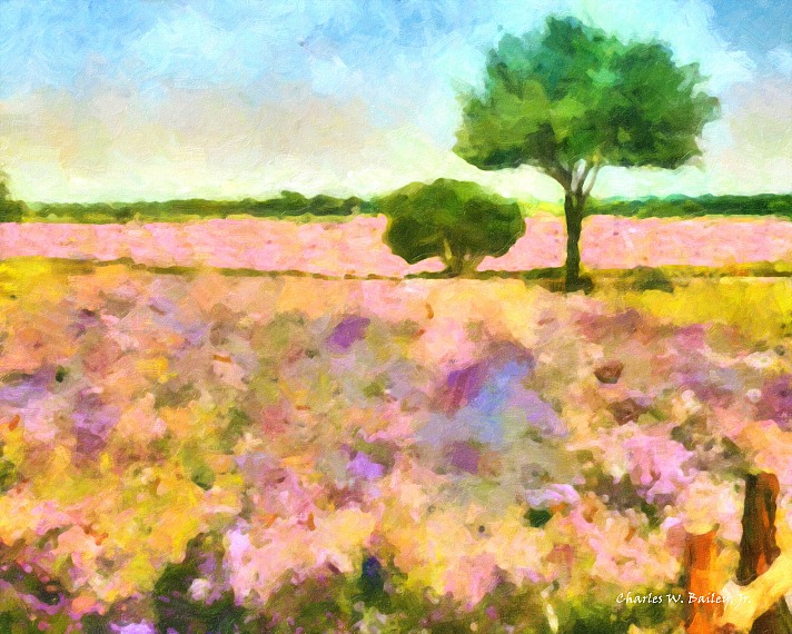 Digital Oil Painting of a Petunia Field in Fredericksburg, TX by Charles W. Bailey, Jr.