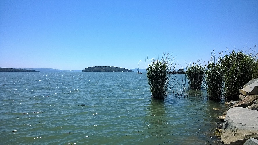 Blick auf die Inseln und das Schilf des Lago Trasimeno
