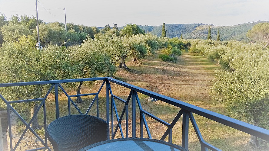 Blick von unserem Balkon auf das Grundstück samt Olivenbaumhainen
