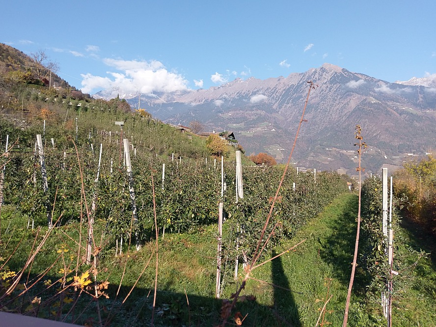 Giardino Marling: Eine mediterrane Schönheit erwartet uns in der prächtigen Bergwelt Südtirols