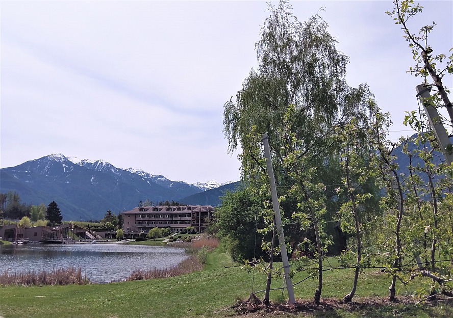 Hotel Seehof - Nature Retreat: Märchenhaft anmutende Wald- und Forstwege beginnen für uns gleich vor der Haustür.