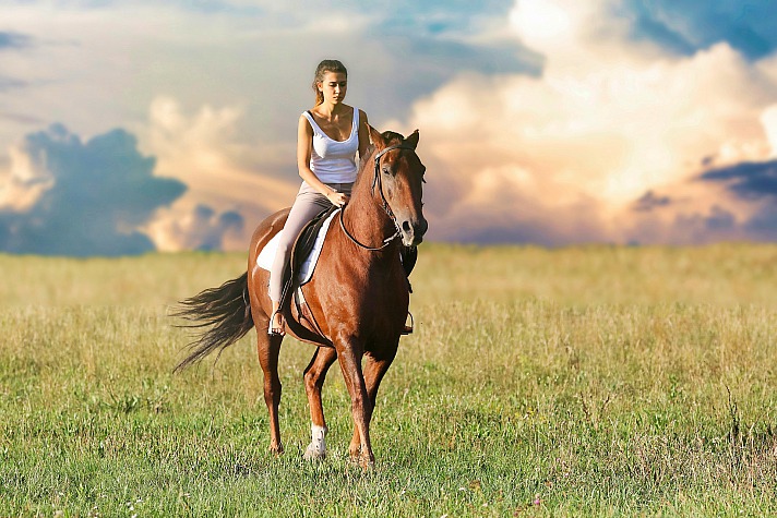 Die magische Beziehung zwischen Pferd und Mensch