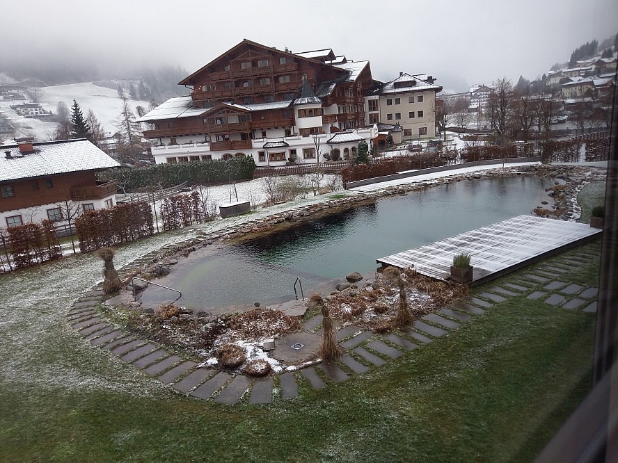 Hotel Nesslerhof: Naturbadeteich, auf den man hier wirklich stolz sein kann