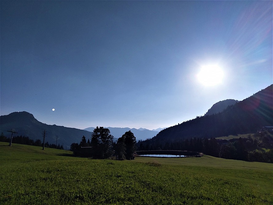Panoramahotel Oberjoch: Blick in die Natur