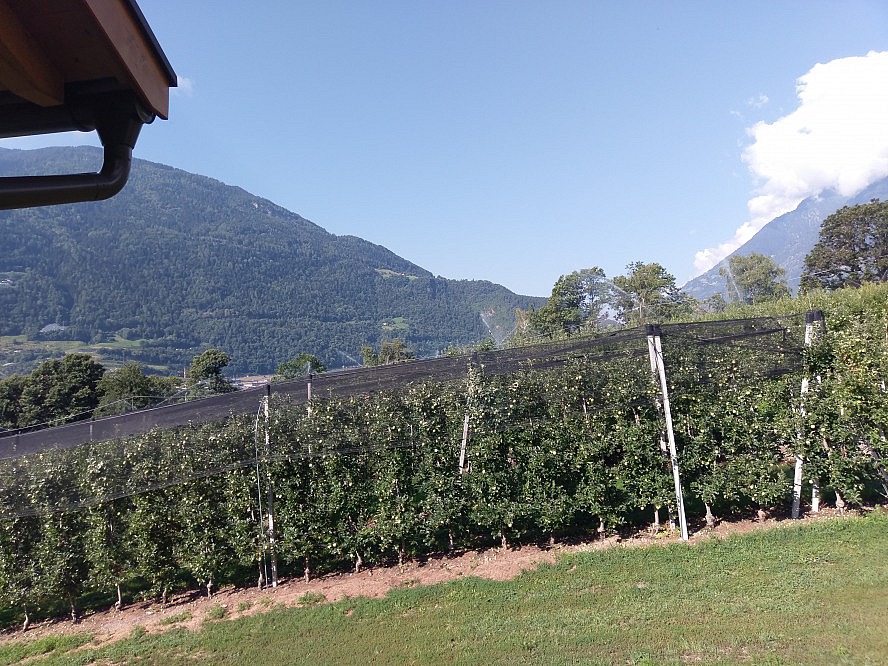 Hotel Residence St. Kassian: nirgendwo wachsen schönere oder schmackhaftere Äpfel als in Südtirol