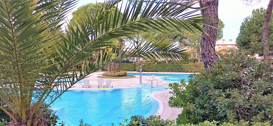 Hotel Terme Bristol Buja: Blick auf die Pools