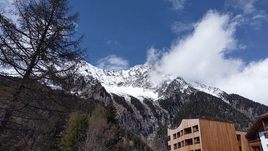 Falkensteiner Hotel & Spa Antholz: Wald, Berge, Weite. Sonst nichts. Urlaub, der erdet
