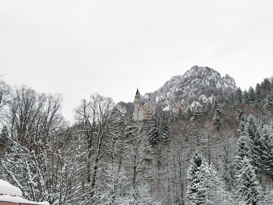 PANORAMA Land- & Wellnesshotel: Schloss Neuschwanstein wirkt im Sommer irgendwie weißer