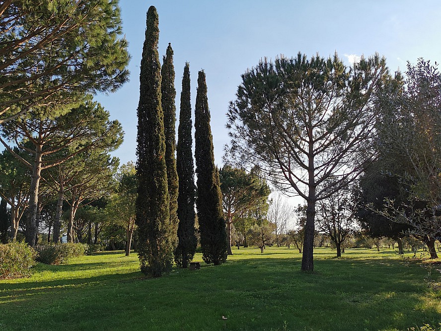 Hotel Agriturismo Villa Toscana: umgeben von einer malerischen Parkanlage