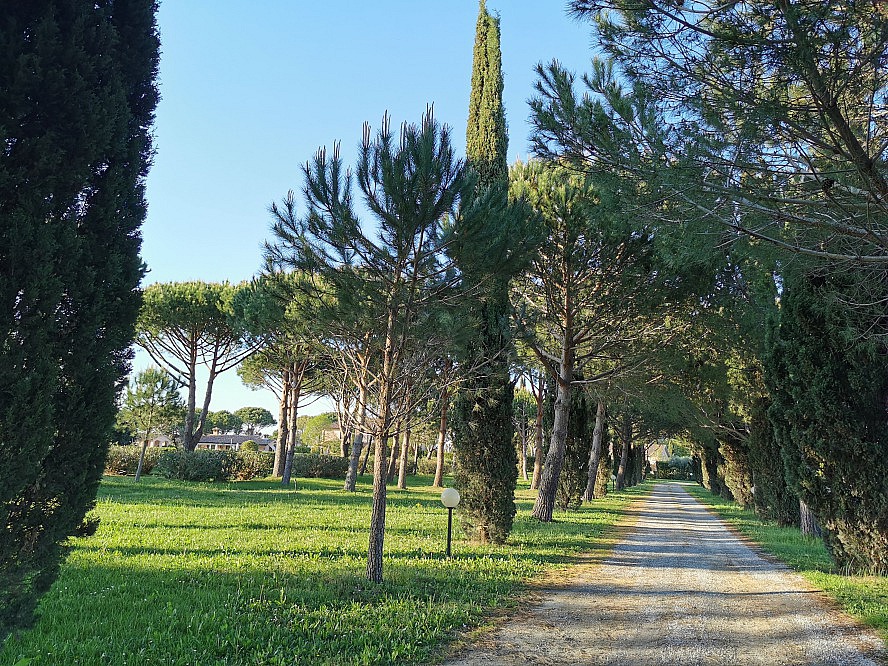 Hotel Agriturismo Villa Toscana: Zufahrtsweg zur Anlage