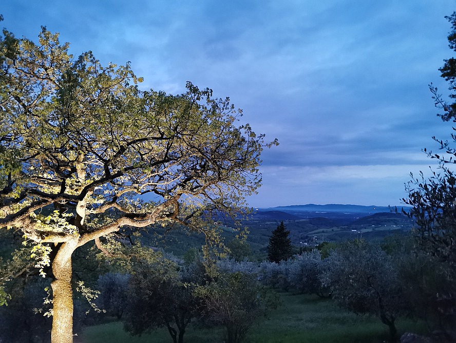Toscana Vacanza: Abends schalten wir den Strahler für den Baum an - wir fühlen uns wie in einem Märchen