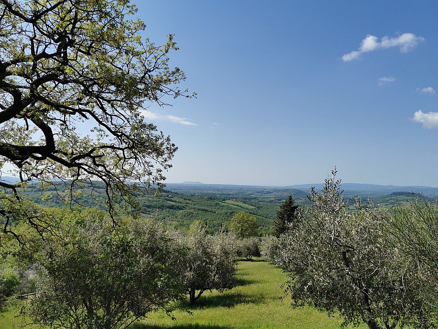 Toscana Vacanza: Sanfte Hügel mit Olivenhainen, Zypressenalleen und kleine Dörfer aus gelbem Tuffstein prägen die südliche Toskana