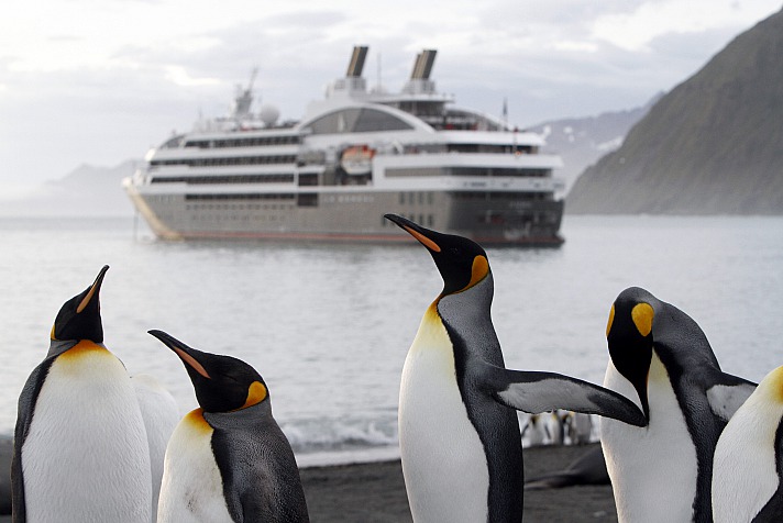 Kreuzfahrten in die Antarktis, in eine Welt, die zum Staunen anregt, werden immer beliebter