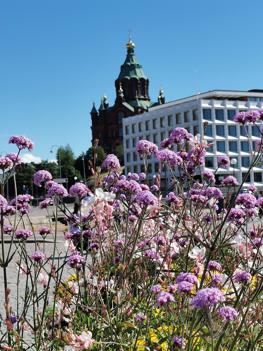 WORLD VOYAGER: Helsinki im strahlenden Julisommer