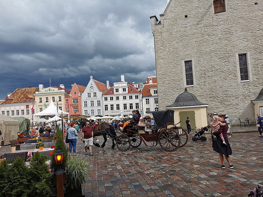 WORLD VOYAGER: Tallinn kann auch per Pferdekutsche erkundet werden