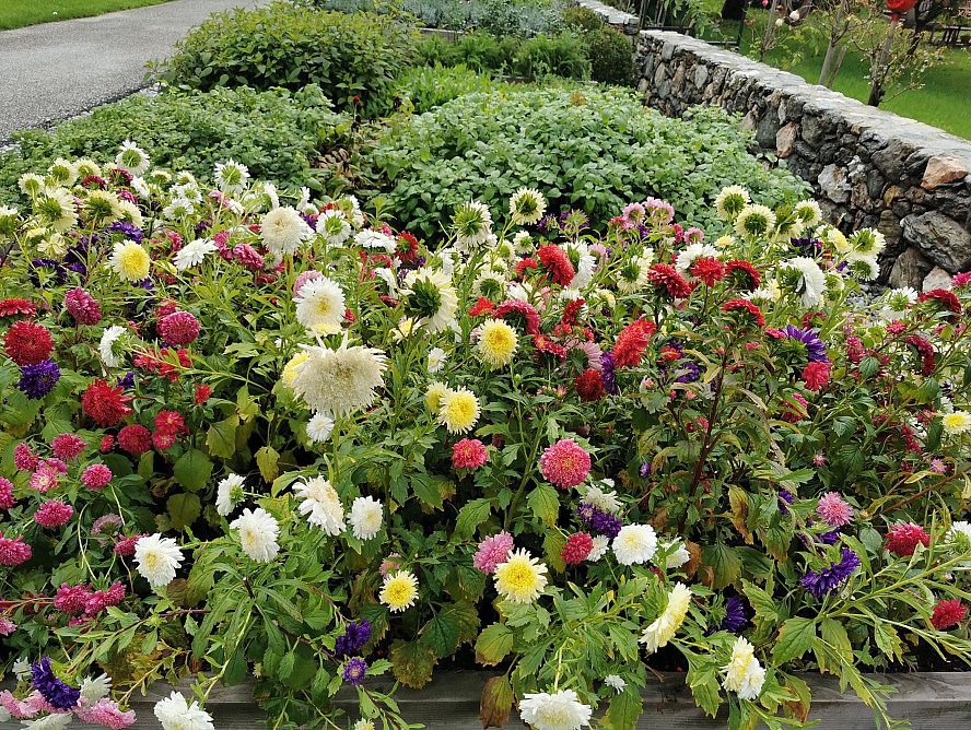 Natur Resort Rissbacher: die Blumen im eigenen Kräutergarten sind keine reine Dekoration