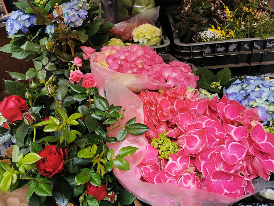 Genua - Rolli De Mar: Mitten im herrlich intensive Leben Genuas - hier ein Blumenladen