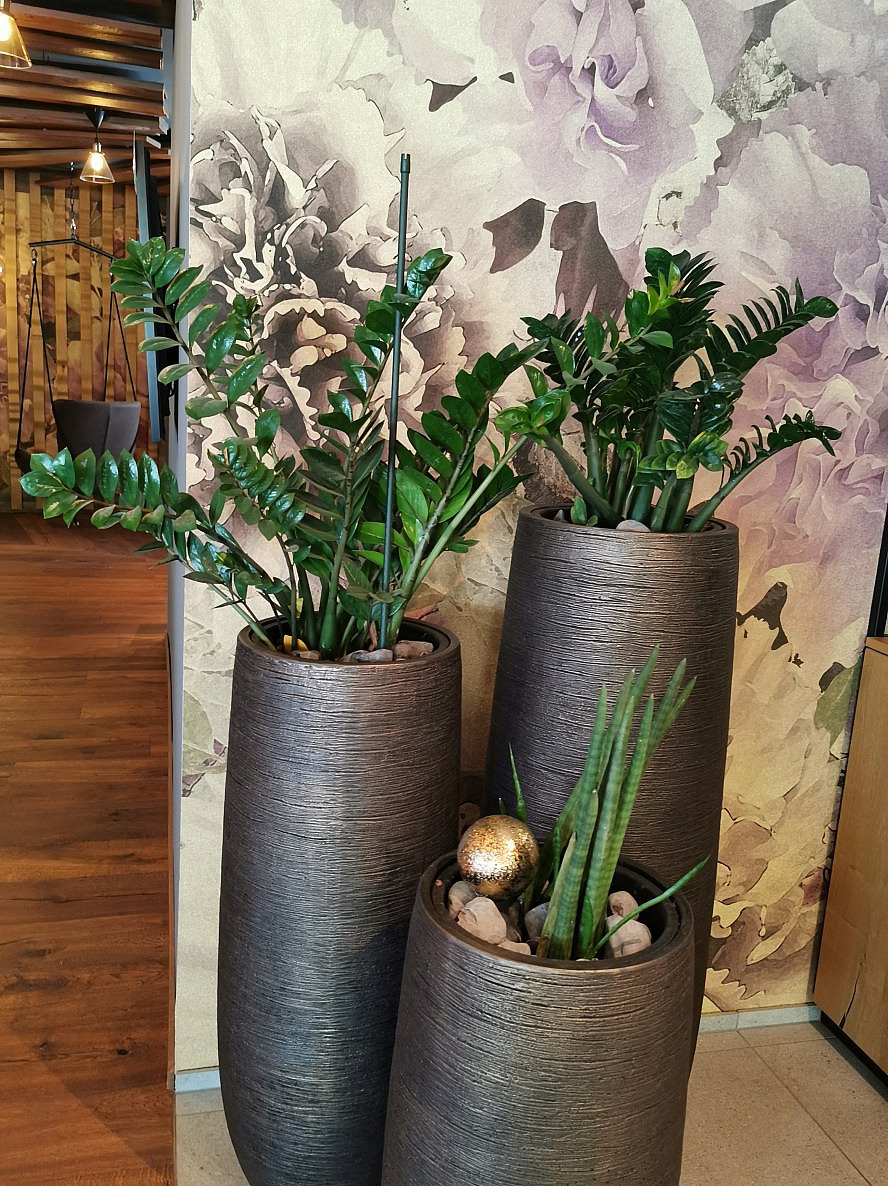 DAS SeeMOUNT: Dekorative Tapetenmuster und Pflanzen in der Lobby