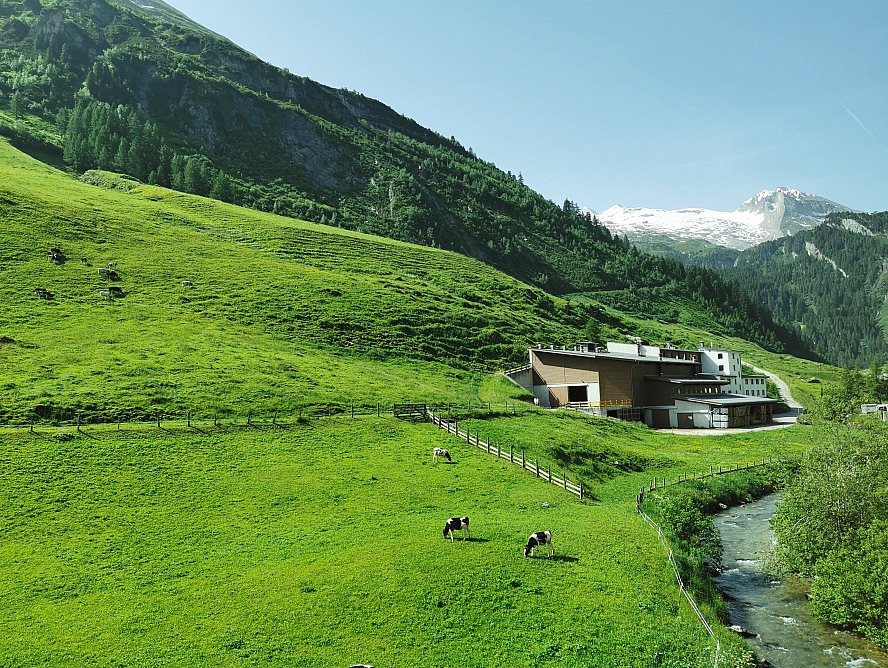 Hotel Alpenhof: auch der Panoramablick auf die umliegende Berglandschaft trägt zur Erholung bei