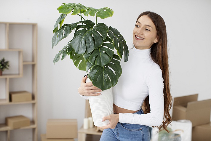 Verschönern Sie Ihr Zuhause mit künstlichen Pflanzen