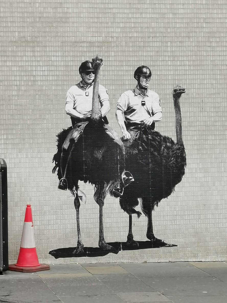 VASCO DA GAMA: Aberdeen - die beiden Straussreitenden Polizisten könnten fast von Banksy sein