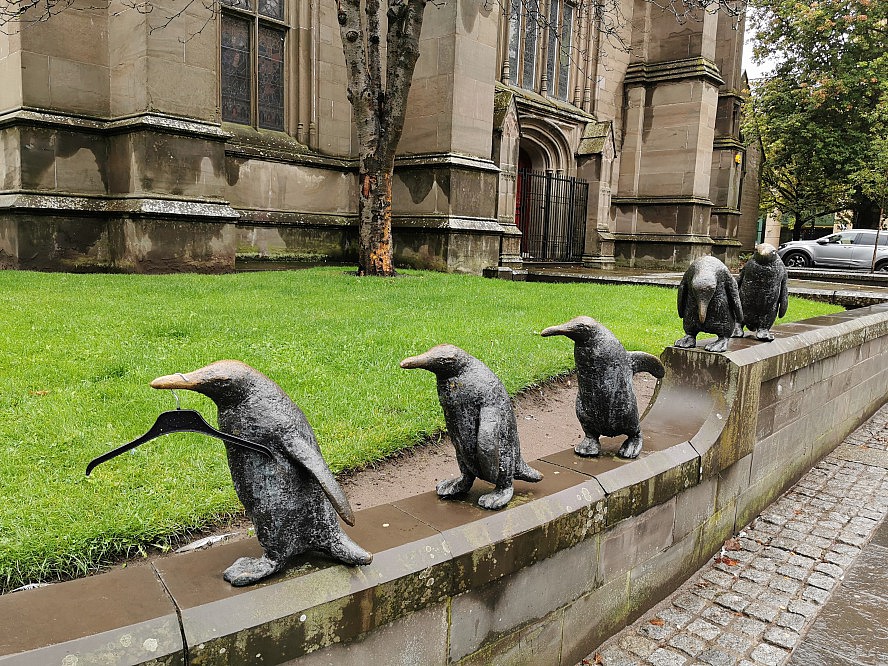 VASCO DA GAMA: March of the Penguins - die berühmten Pinguine von Dundee