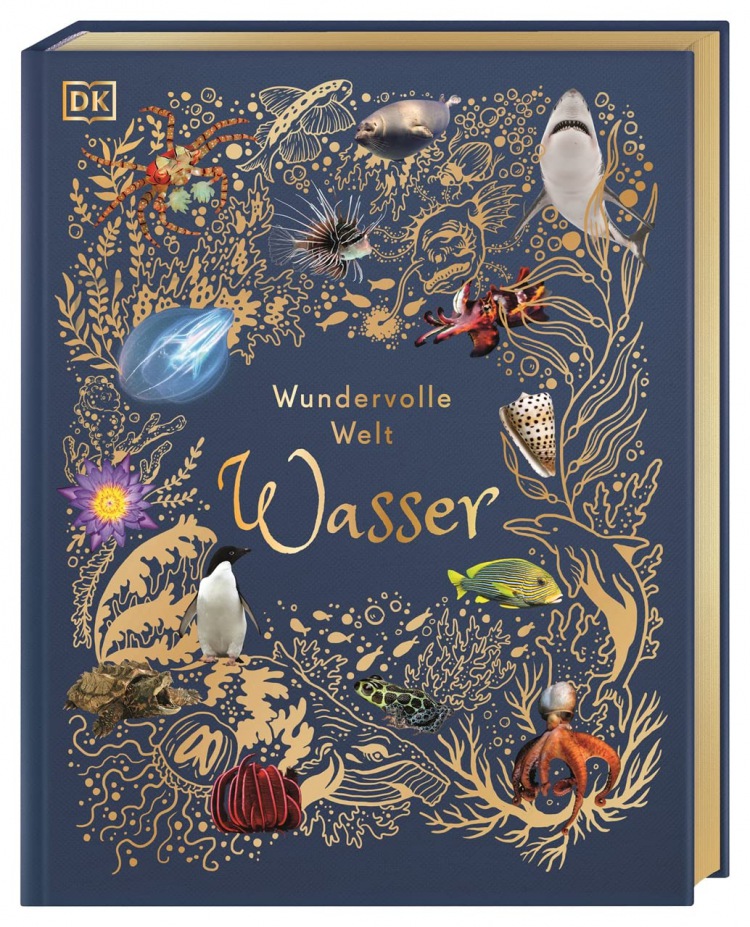 Sam Hume: Wundervolle Welt. Wasser: Ein Natur-Bilderbuch für die ganze Familie. Hochwertig ausgestattet mit Lesebändchen, Goldfolie und Goldschnitt. Für Kinder ab 7 Jahren
