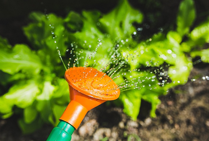 Die Regenwassernutzung und -speicherung sind zentrale Elemente nachhaltiger Gartenpraktiken