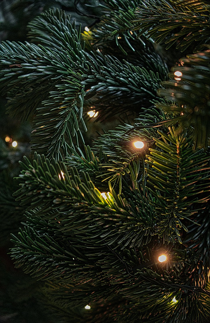 Ich plane eine Weihnachtstanne auszuleihen! (Mehr Infos bekommt ihr z.b. unter www.weihnachtsurwald.de