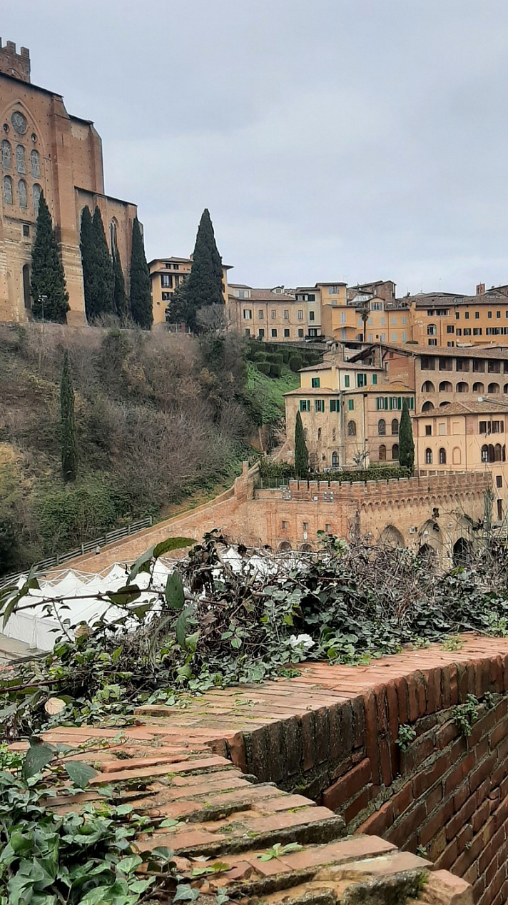 Siena - Immer wieder schlendern Grüppchen von Touristen vorbei, Pärchen, Familien