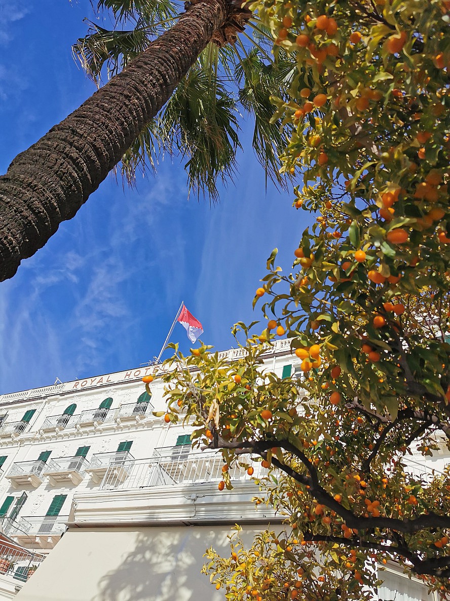 Royal Hotel Sanremo: ja, richtig vermutet: es ist Anfang Februar