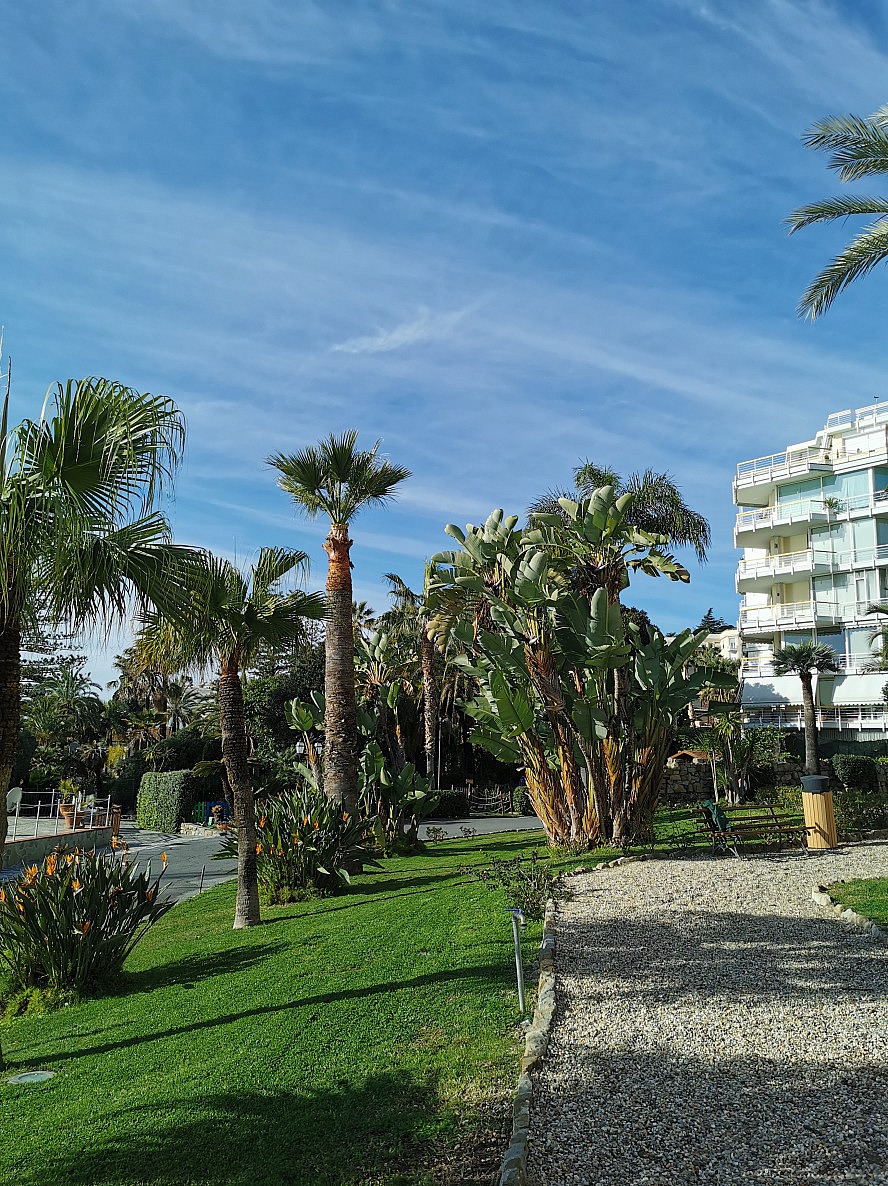 Royal Hotel Sanremo: Palmen, Bananenstauden und Strelitzien - in Blüte