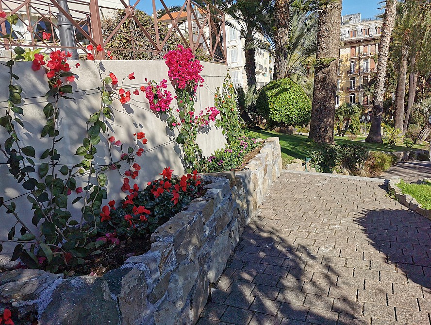 Royal Hotel Sanremo: unglaublich, wie viele verschiedene Pflanzen schon Blühen