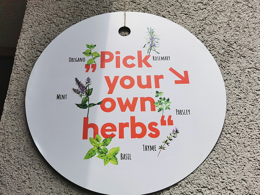 Paloria: Pick your own herbs