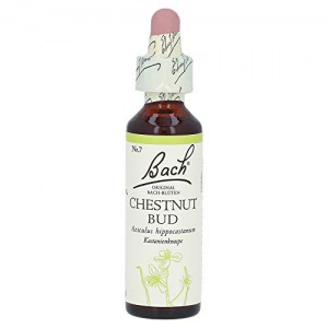 Bachblüte Chestnut Bud, 20 ml 