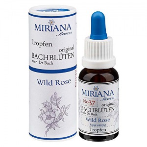MirianaFlowers Wild Rose 20ml Bachblüten Stockbottle 