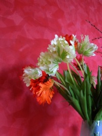 Glückwunsch mit Federtulpen | Blätter & Blumen » Tulpen | Rainer Sturm / pixelio